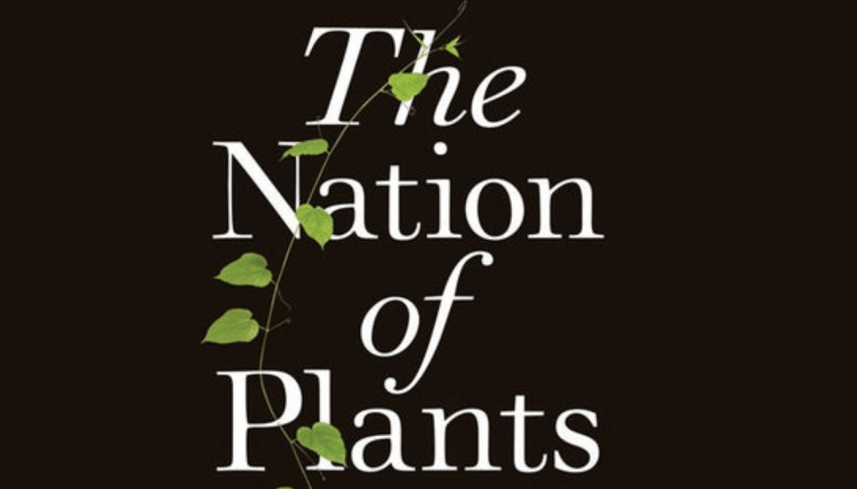 The dark side of the houseplant boom